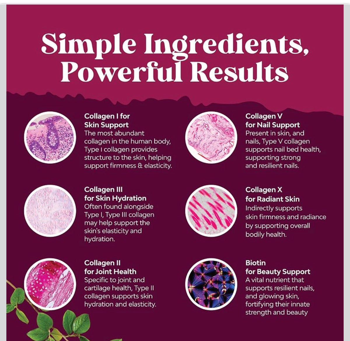 Advanced Multi Collagen Complex with Biotin — 90 Capsules
