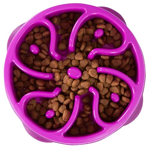 Outward Hound Fun Feeder Slow Bowl – Medium, Purple, 2 Cups